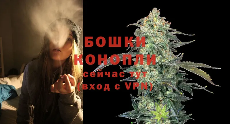 наркотики  Велиж  Бошки Шишки THC 21% 